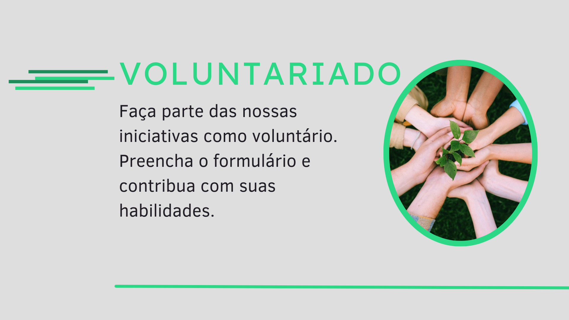 Voluntariado
